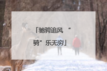驰骋追风 “骑”乐无穷