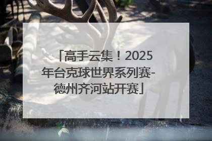 高手云集！2025年台克球世界系列赛-德州齐河站开赛