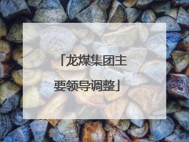 龙煤集团主要领导调整