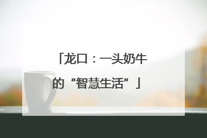 龙口：一头奶牛的“智慧生活”