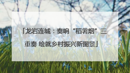 龙岩连城：奏响“稻薯烟”三重奏 绘就乡村振兴新图景