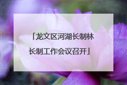 龙文区河湖长制林长制工作会议召开