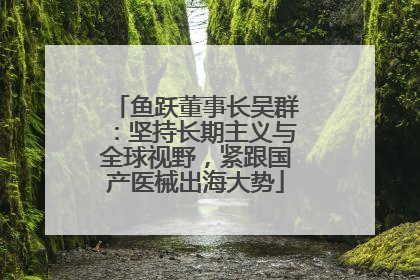 鱼跃董事长吴群：坚持长期主义与全球视野，紧跟国产医械出海大势