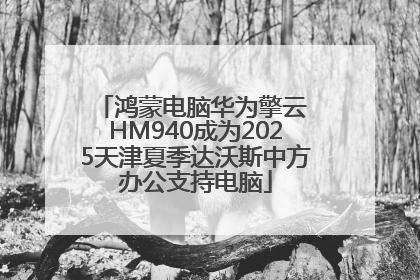 鸿蒙电脑华为擎云 HM940成为2025天津夏季达沃斯中方办公支持电脑