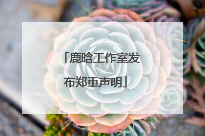 鹿晗工作室发布郑重声明