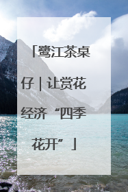 鹭江茶桌仔｜让赏花经济“四季花开”