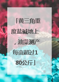 黄三角重度盐碱地上，油菜测产每亩超过180公斤
