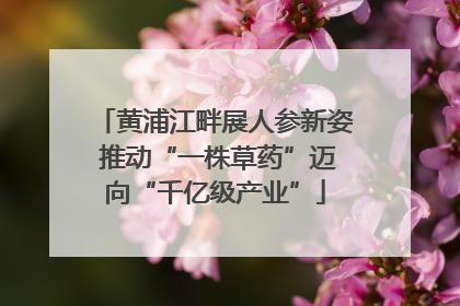黄浦江畔展人参新姿 推动“一株草药”迈向“千亿级产业”