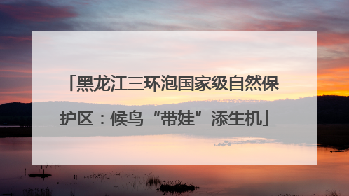 黑龙江三环泡国家级自然保护区：候鸟“带娃”添生机