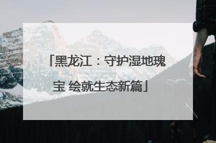 黑龙江：守护湿地瑰宝 绘就生态新篇