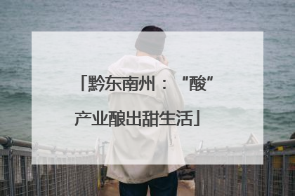黔东南州：“酸”产业酿出甜生活