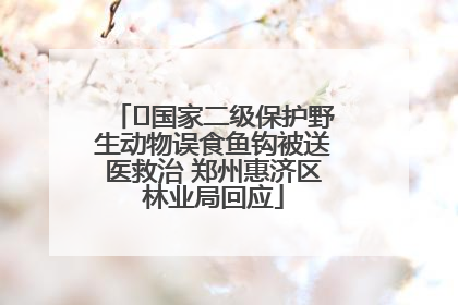 ﻿国家二级保护野生动物误食鱼钩被送医救治 郑州惠济区林业局回应