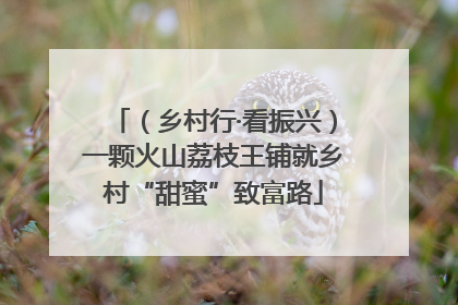 （乡村行·看振兴）一颗火山荔枝王铺就乡村“甜蜜”致富路