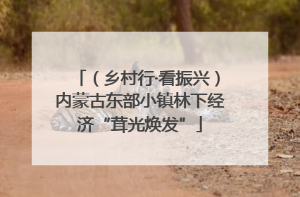 （乡村行·看振兴）内蒙古东部小镇林下经济“茸光焕发”