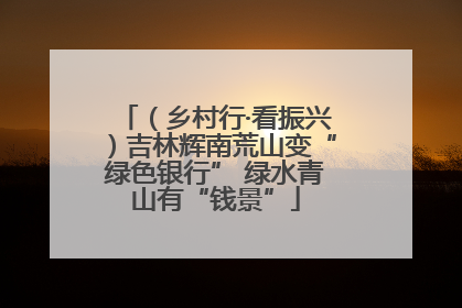 （乡村行·看振兴）吉林辉南荒山变“绿色银行” 绿水青山有“钱景”