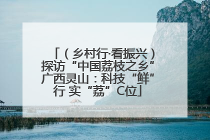 （乡村行·看振兴）探访“中国荔枝之乡”广西灵山：科技“鲜”行 实“荔”C位