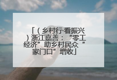 （乡村行·看振兴）浙江嘉善：“零工经济”助乡村民众“家门口”增收