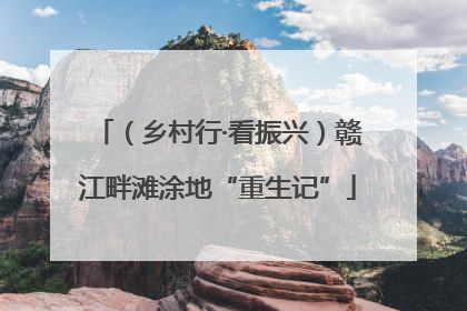 （乡村行·看振兴）赣江畔滩涂地“重生记”