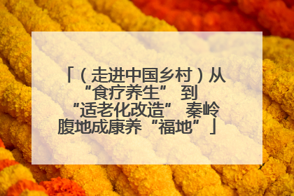 （走进中国乡村）从 “食疗养生” 到 “适老化改造” 秦岭腹地成康养“福地”