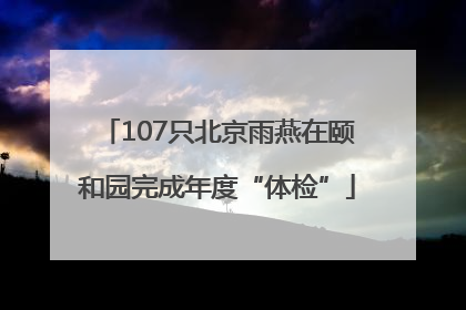 107只北京雨燕在颐和园完成年度“体检”