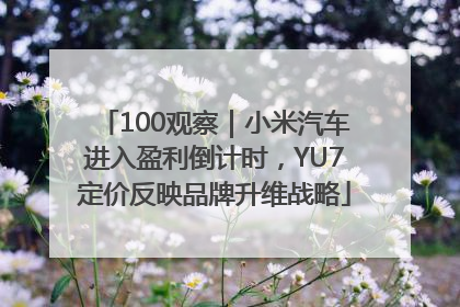 100观察｜小米汽车进入盈利倒计时，YU7定价反映品牌升维战略