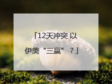 12天冲突 以伊美“三赢”？