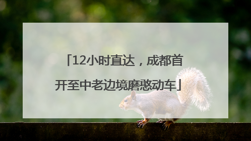 12小时直达，成都首开至中老边境磨憨动车