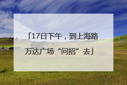 17日下午，到上海路万达广场“问招”去