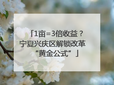1亩=3倍收益？宁夏兴庆区解锁改革“黄金公式”