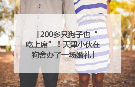 200多只狗子也“吃上席”！天津小伙在狗舍办了一场婚礼