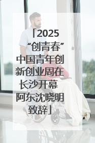 2025“创青春”中国青年创新创业周在长沙开幕 阿东沈晓明致辞