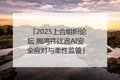 2025上合组织论坛 周鸿祎建言AI安全应对与柔性监管