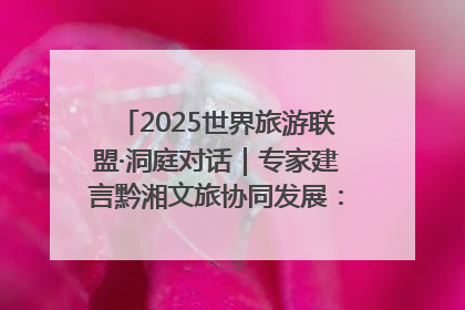 2025世界旅游联盟·洞庭对话｜专家建言黔湘文旅协同发展：聚焦产品稀缺性 深化区域经验共享