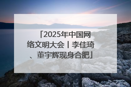 2025年中国网络文明大会丨李佳琦、董宇辉现身合肥