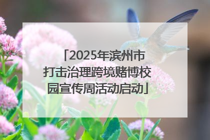 2025年滨州市打击治理跨境赌博校园宣传周活动启动
