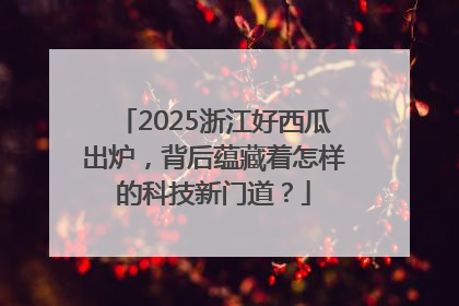 2025浙江好西瓜出炉，背后蕴藏着怎样的科技新门道？