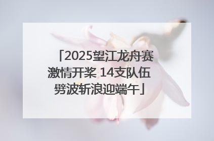 2025望江龙舟赛激情开桨 14支队伍劈波斩浪迎端午