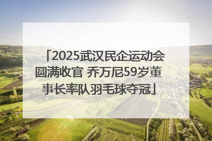 2025武汉民企运动会圆满收官 乔万尼59岁董事长率队羽毛球夺冠