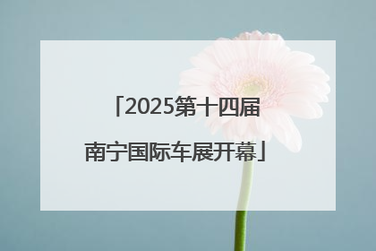 2025第十四届南宁国际车展开幕