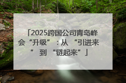 2025跨国公司青岛峰会“升级”：从 “引进来” 到 “链起来”