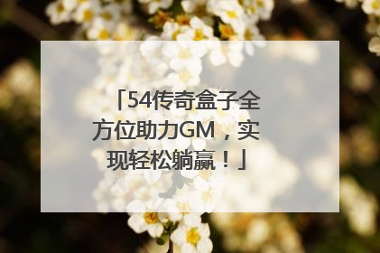 54传奇盒子全方位助力GM，实现轻松躺赢！