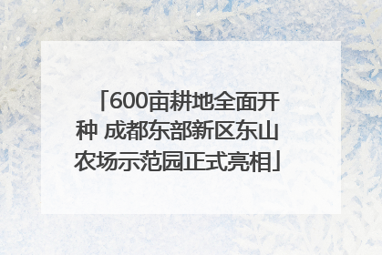 600亩耕地全面开种 成都东部新区东山农场示范园正式亮相