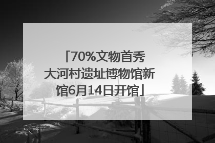70%文物首秀 大河村遗址博物馆新馆6月14日开馆
