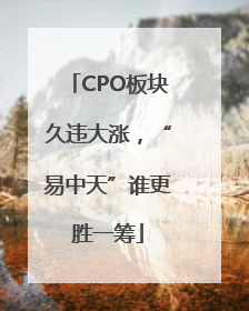 CPO板块久违大涨，“易中天”谁更胜一筹