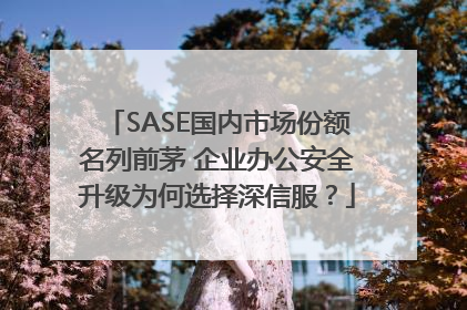 SASE国内市场份额名列前茅 企业办公安全升级为何选择深信服？
